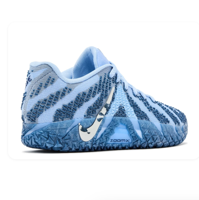 Nike LeBron NXXT Gen – Blue/Grey/White